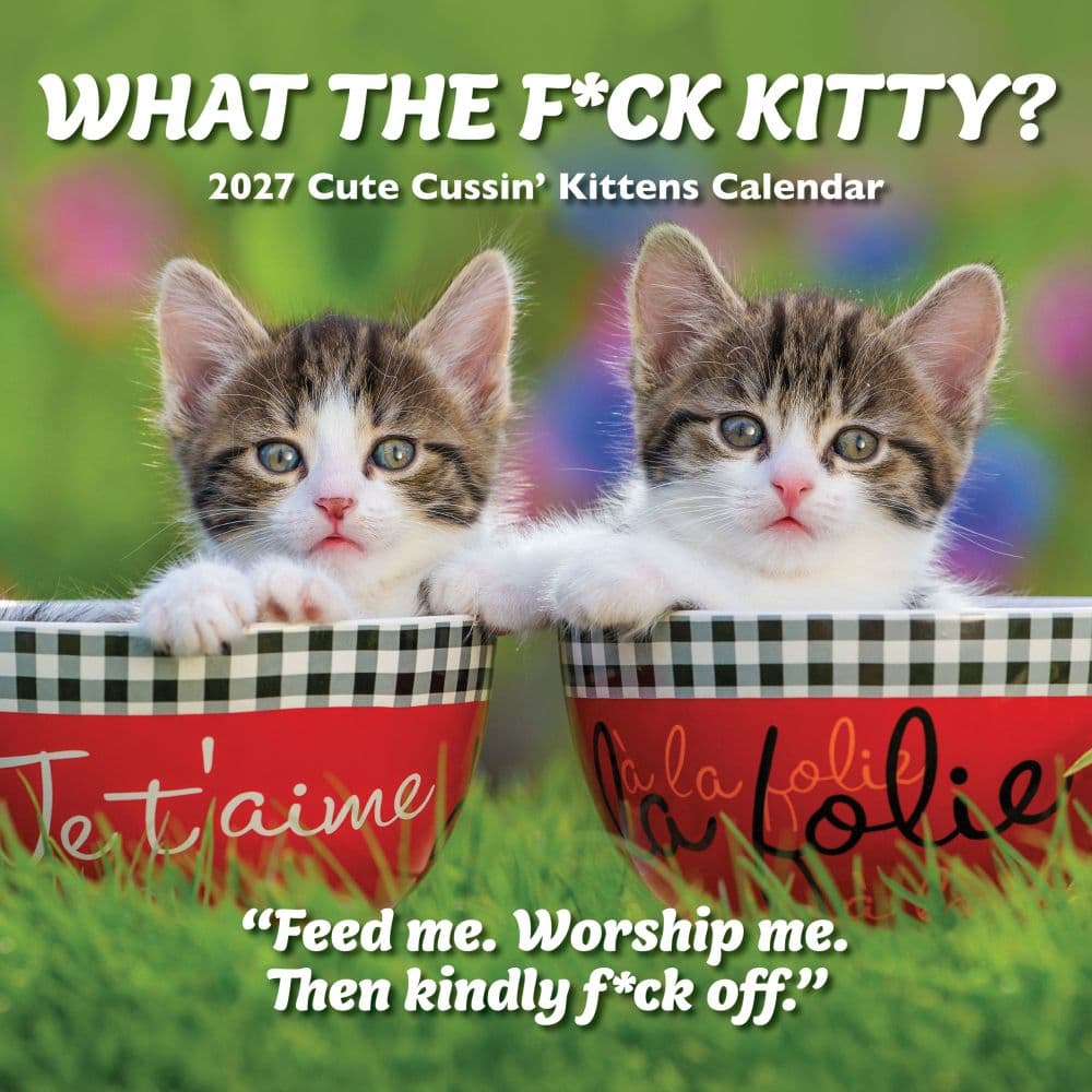 What the Fck Kitty 2027 Wall Calendar