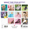 image What the Fck Kitty 2027 Wall Calendar First Alternate Image