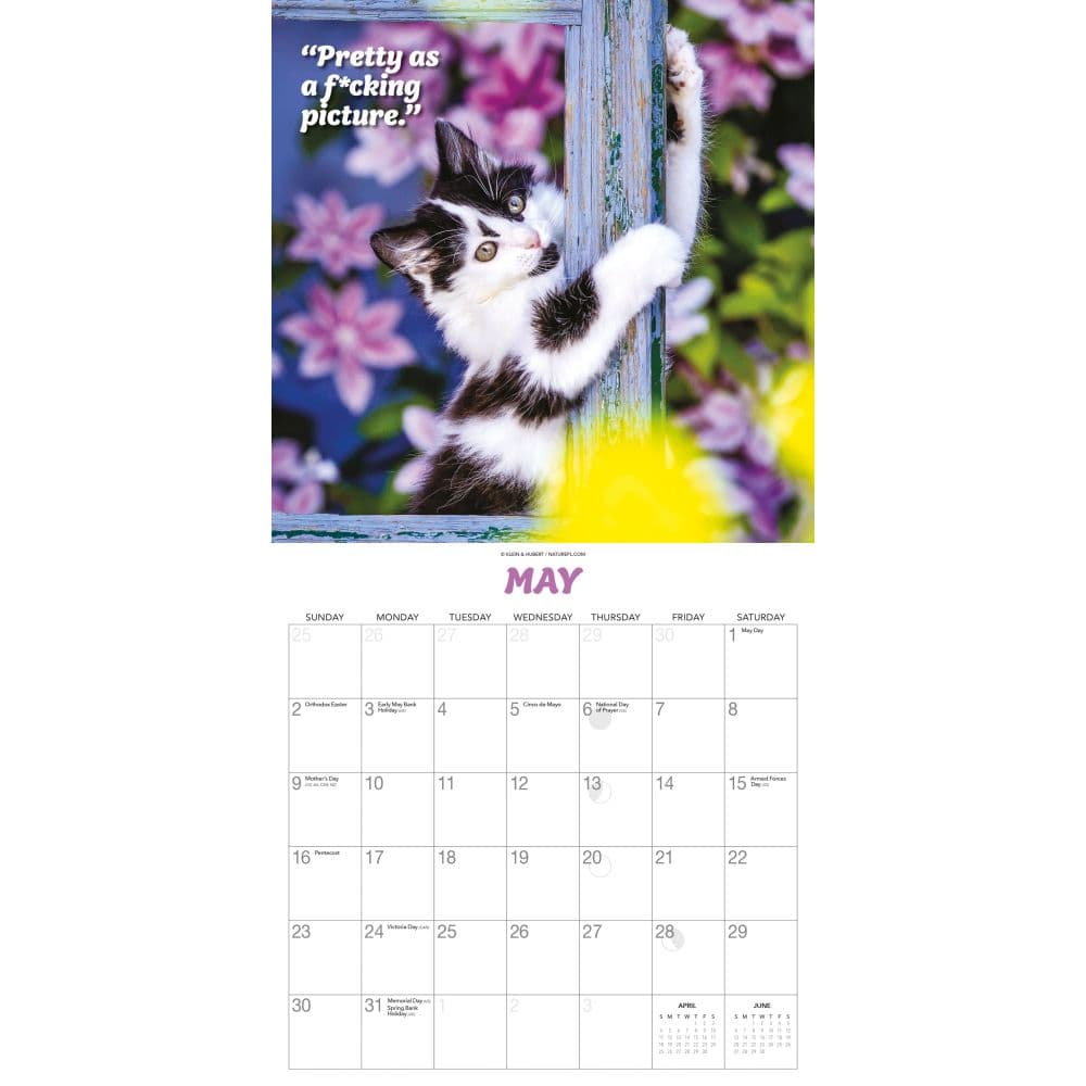 What the Fck Kitty 2027 Wall Calendar Third Alternate Image