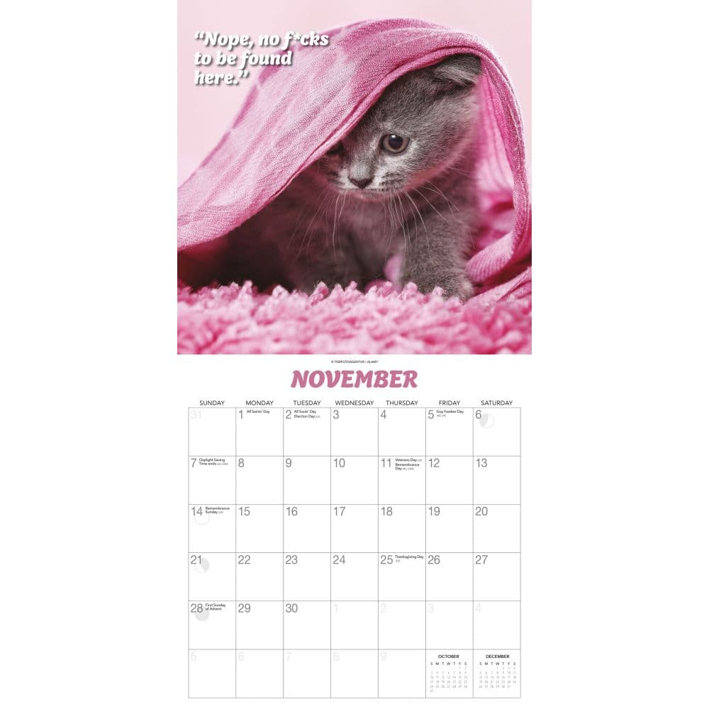 What the Fck Kitty 2027 Wall Calendar Fourth Alternate Image