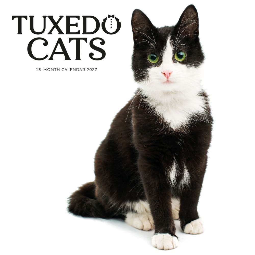 Tuxedo Cats 2027 Wall Calendar Main Product Image