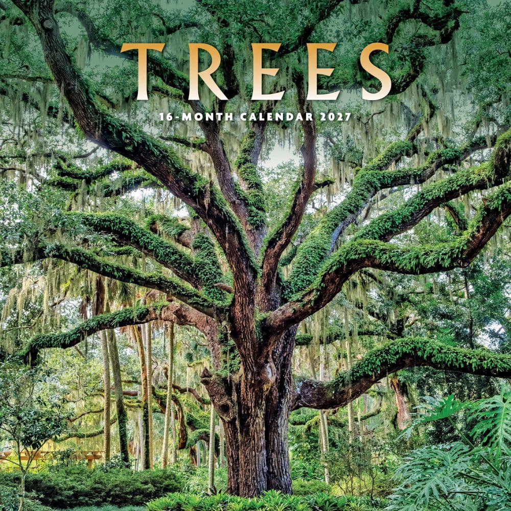 image Trees 2027 Wall Calendar Main Product Image