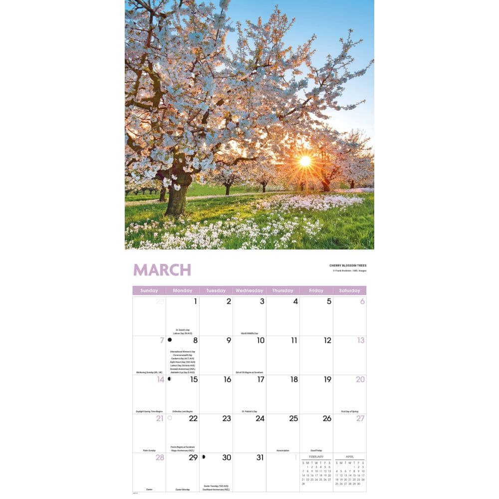 Trees 2027 Wall Calendar Second Alternate Image