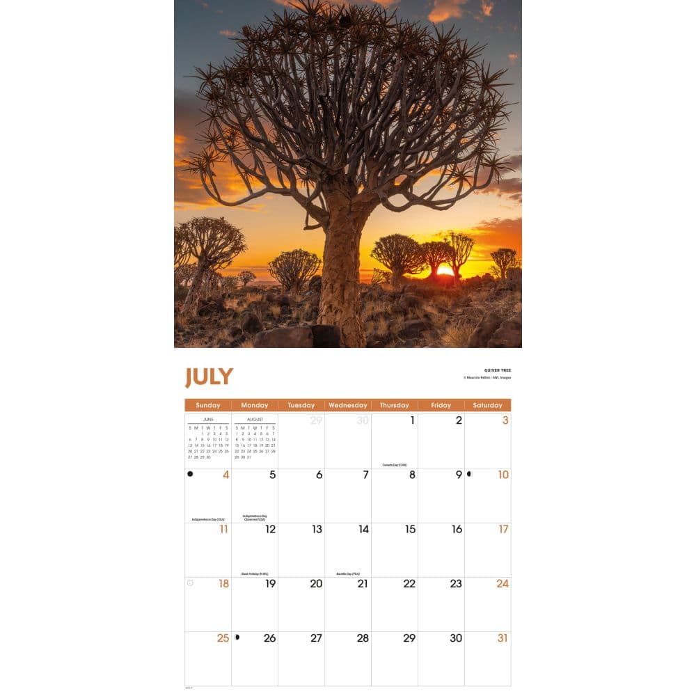 Trees 2027 Wall Calendar Third Alternate Image