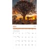 image Trees 2027 Wall Calendar Third Alternate Image