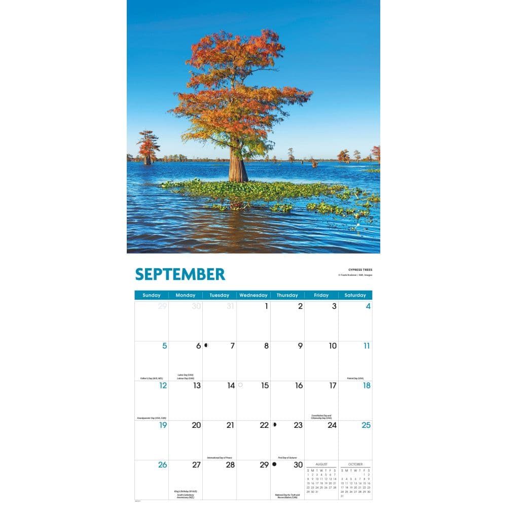 Trees 2027 Wall Calendar Fourth Alternate Image