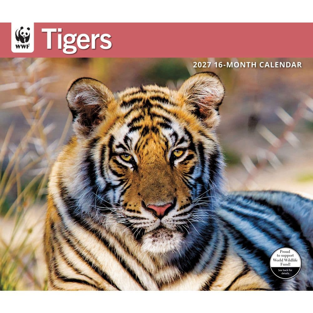 WWF Tigers 2027 Wall Calendar Main Product Image
