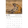 image WWF Tigers 2027 Wall Calendar Second Alternate Image