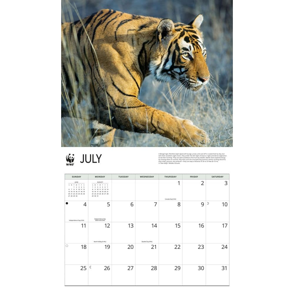 WWF Tigers 2027 Wall Calendar Third Alternate Image