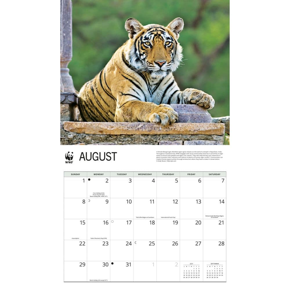 WWF Tigers 2027 Wall Calendar Fourth Alternate Image