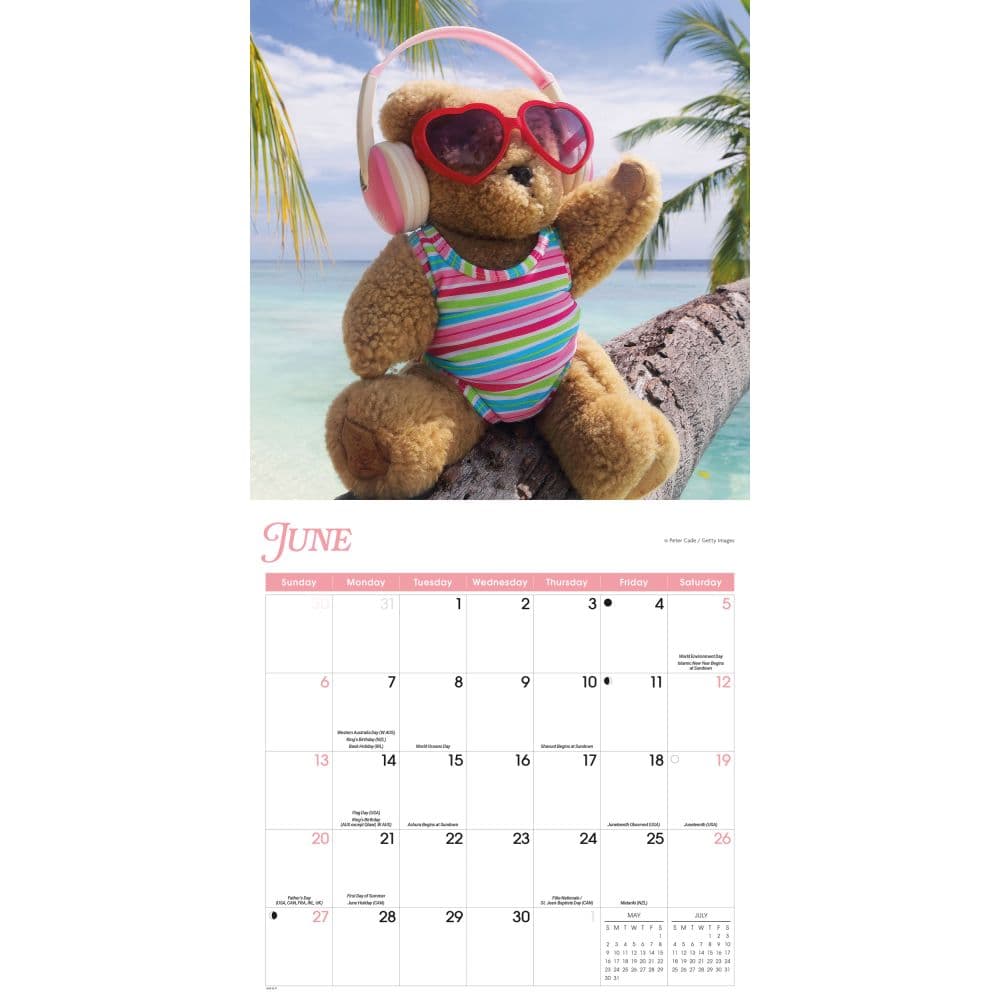 Teddy Bears 2027 Wall Calendar Third Alternate Image