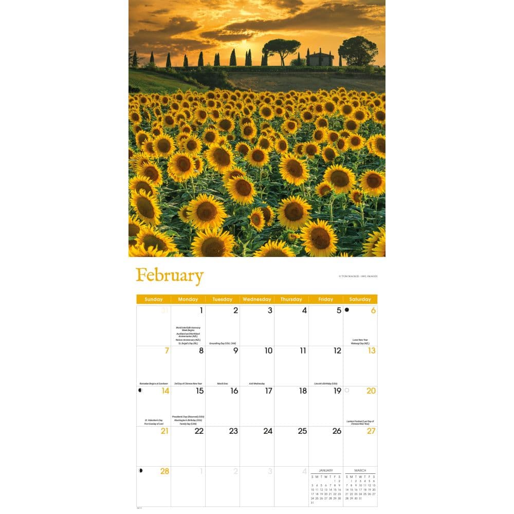 Sunflowers 2027 Wall Calendar Second Alternate Image