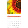image Sunflowers 2027 Wall Calendar Third Alternate Image