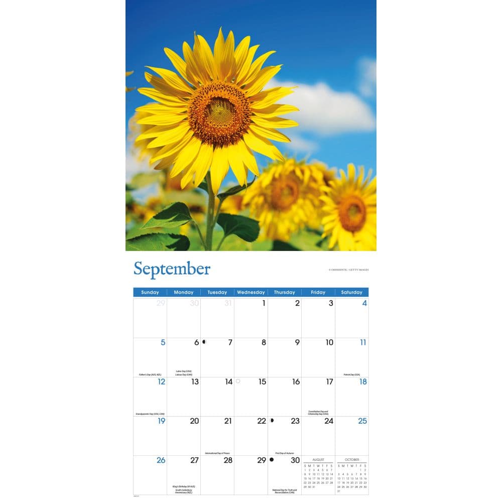 Sunflowers 2027 Wall Calendar Fourth Alternate Image