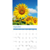 image Sunflowers 2027 Wall Calendar Fourth Alternate Image