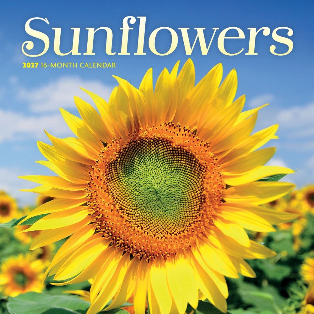 image Sunflowers 2027 Mini Wall Calendar Main Product Image