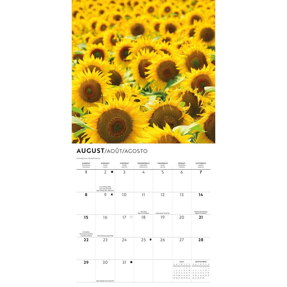 Sunflowers 2027 Mini Wall Calendar Third Alternate Image