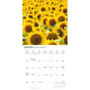 image Sunflowers 2027 Mini Wall Calendar Third Alternate Image