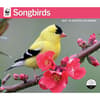 image WWF Songbirds 2027 Wall Calendar Main Product Image