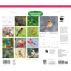 image WWF Songbirds 2027 Wall Calendar First Alternate Image