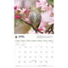 image WWF Songbirds 2027 Wall Calendar Second Alternate Image