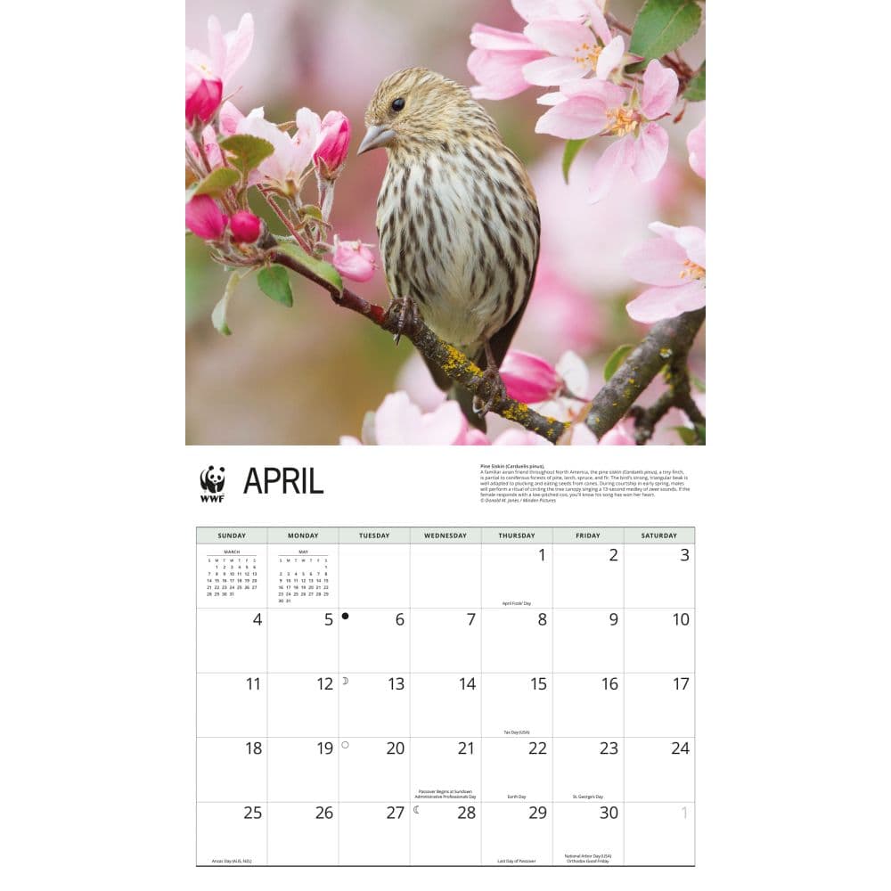 WWF Songbirds 2027 Wall Calendar Second Alternate Image