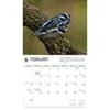 image WWF Songbirds 2027 Wall Calendar Third Alternate Image