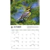 image WWF Songbirds 2027 Wall Calendar Fourth Alternate Image