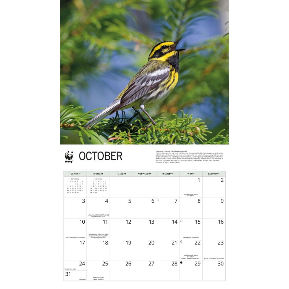 WWF Songbirds 2027 Wall Calendar Fourth Alternate Image