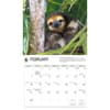 image WWF Sloths 2027 Wall Calendar Second Alternate Image