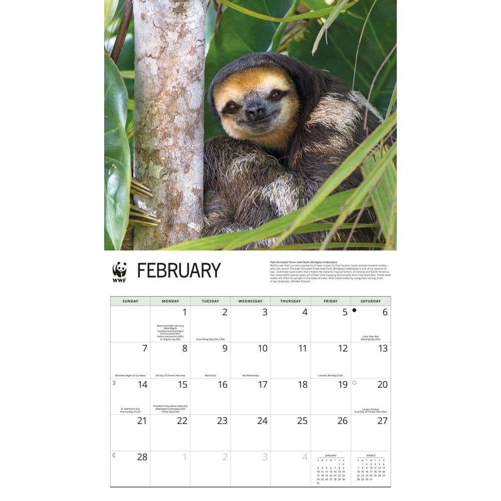 WWF Sloths 2027 Wall Calendar Second Alternate Image