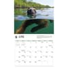 image WWF Sloths 2027 Wall Calendar Third Alternate Image