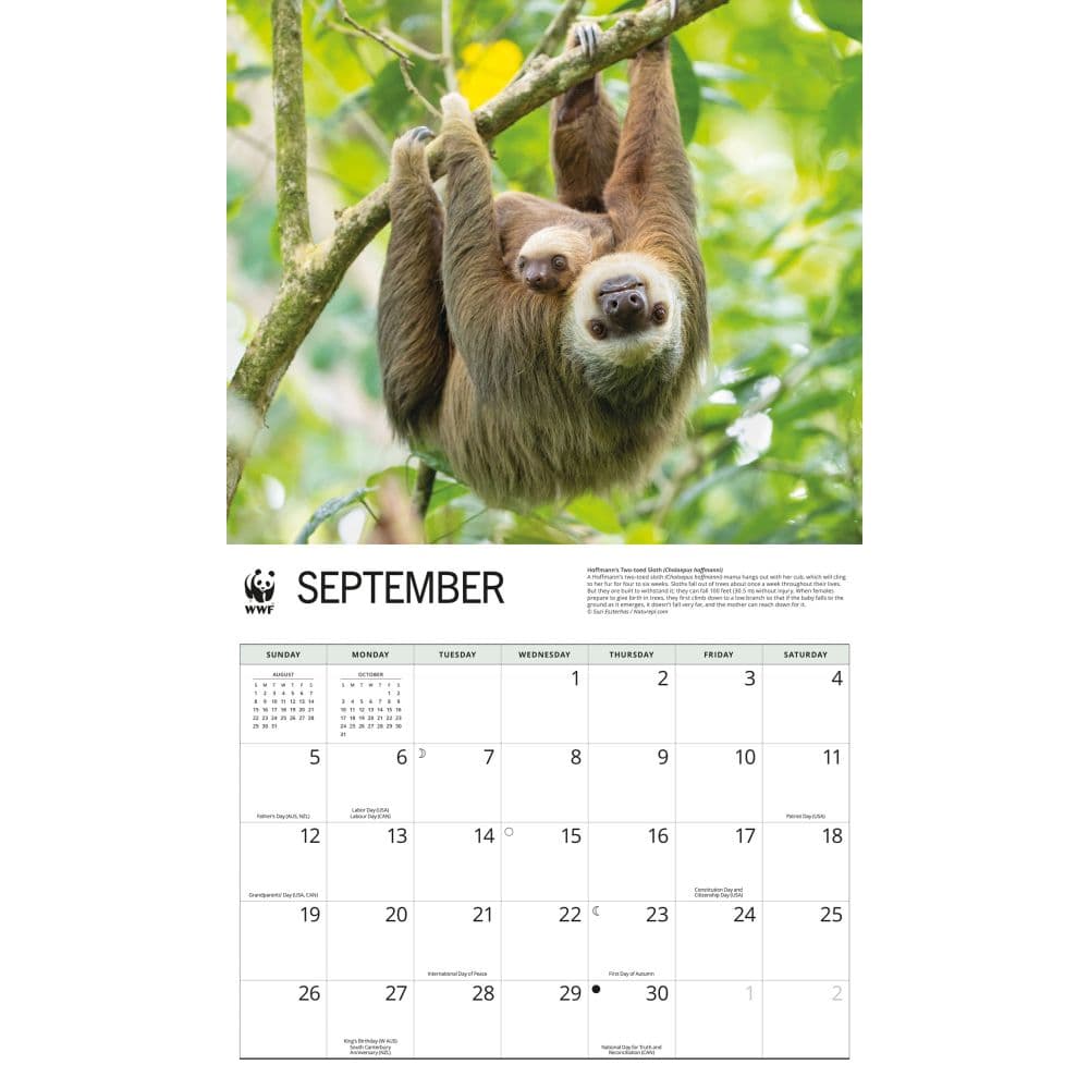 WWF Sloths 2027 Wall Calendar Fourth Alternate Image