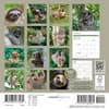 image Sloths 2027 Mini Wall Calendar First Alternate Image