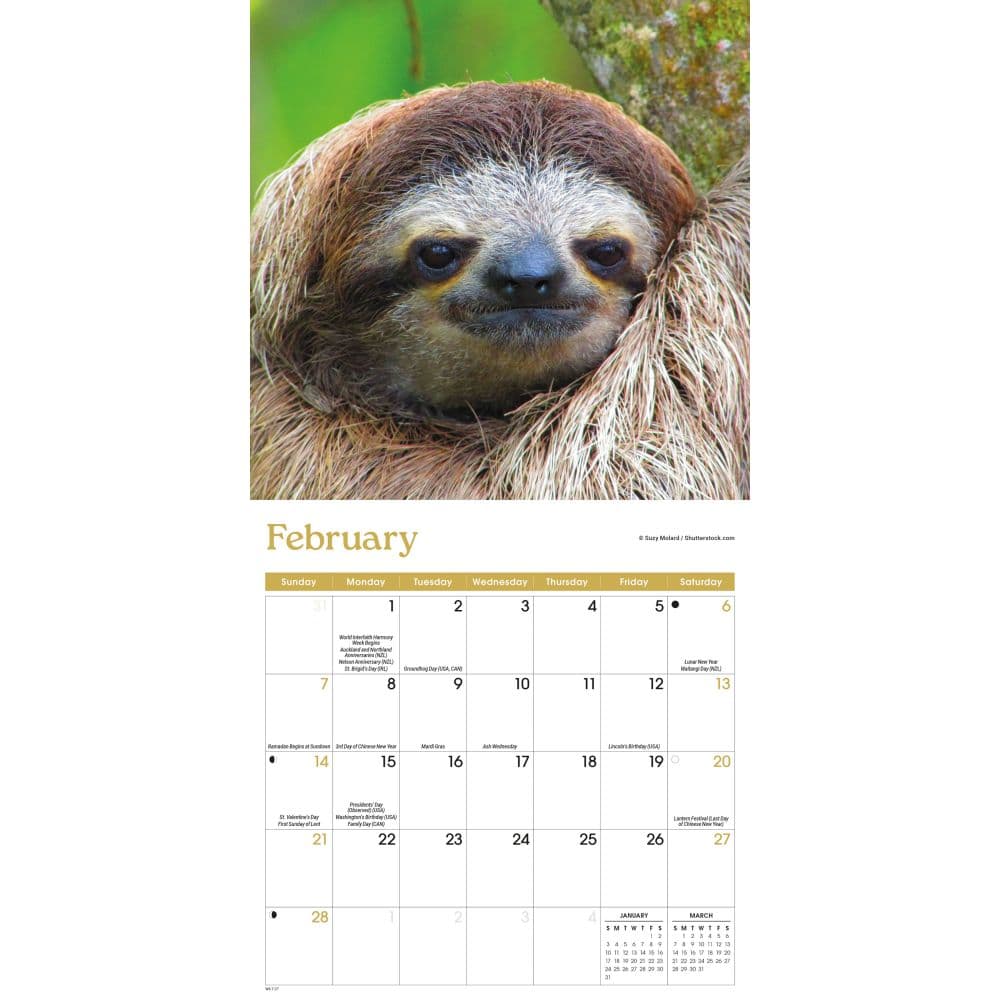 Sloths 2027 Mini Wall Calendar Second Alternate Image