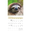 image Sloths 2027 Mini Wall Calendar Second Alternate Image