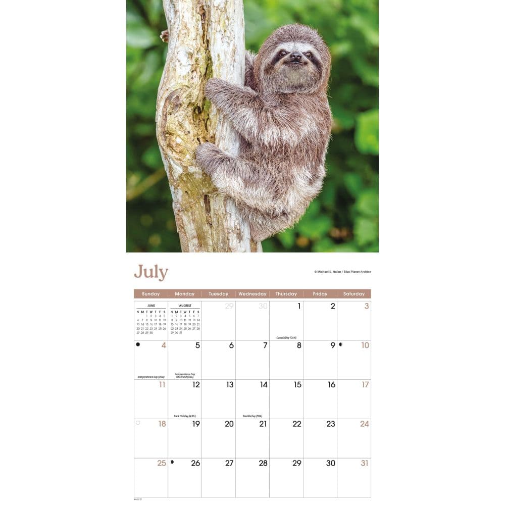 Sloths 2027 Mini Wall Calendar Third Alternate Image