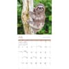 image Sloths 2027 Mini Wall Calendar Third Alternate Image