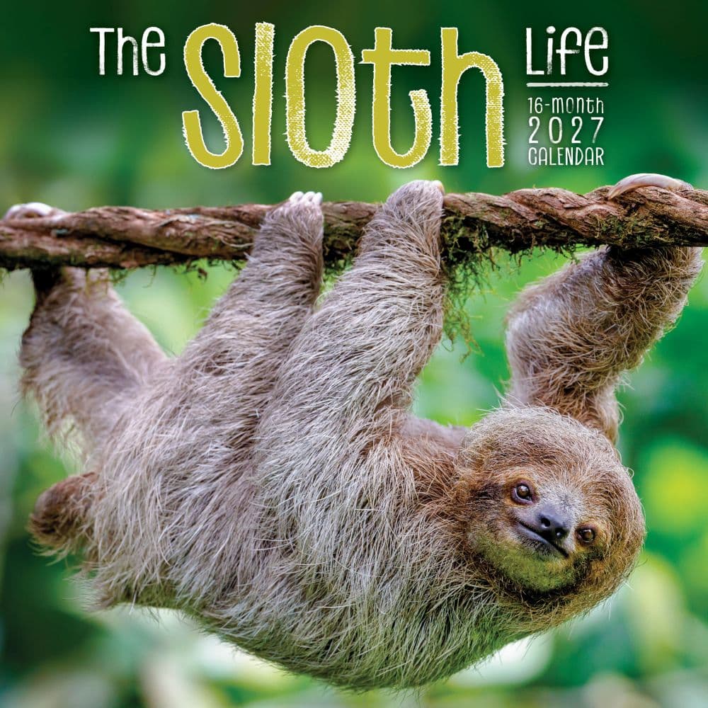 The Sloth Life 2027 Wall Calendar Main Product Image