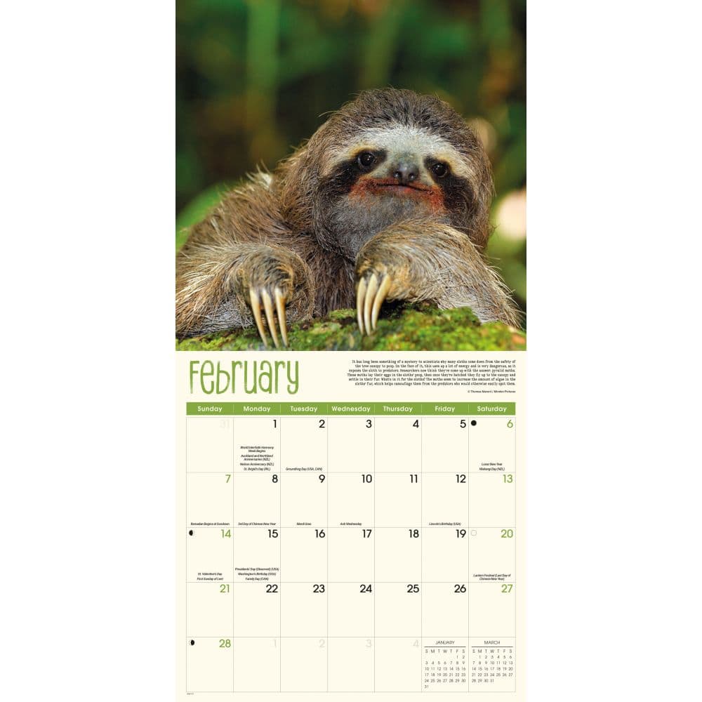 The Sloth Life 2027 Wall Calendar Second Alternate Image