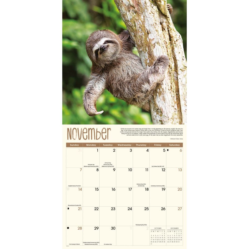 The Sloth Life 2027 Wall Calendar Fourth Alternate Image