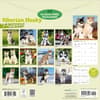 image Siberian Husky Puppies 2027 Wall Calendar First Alternate Image