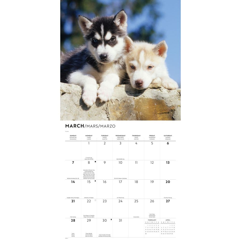 Siberian Husky Puppies 2027 Wall Calendar Second Alternate Image