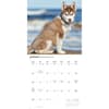 image Siberian Husky Puppies 2027 Wall Calendar Third Alternate Image