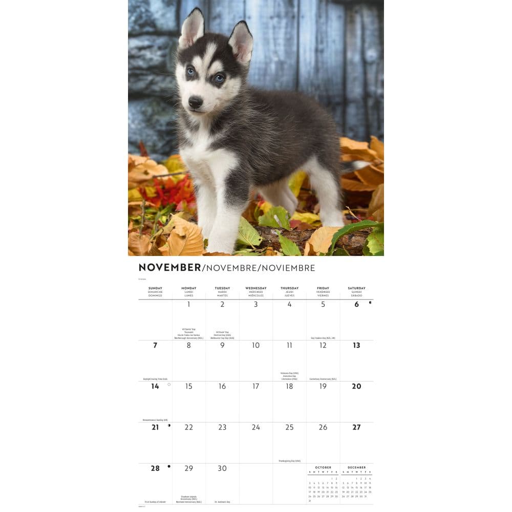 Siberian Husky Puppies 2027 Wall Calendar Fourth Alternate Image