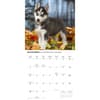 image Siberian Husky Puppies 2027 Wall Calendar Fourth Alternate Image