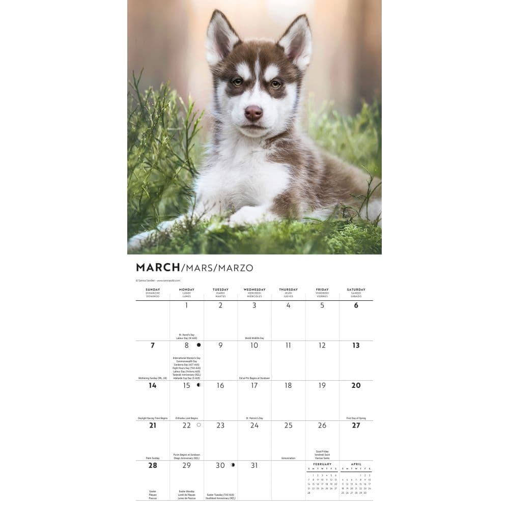 Siberian Husky Puppies 2027 Mini Wall Calendar Second Alternate Image