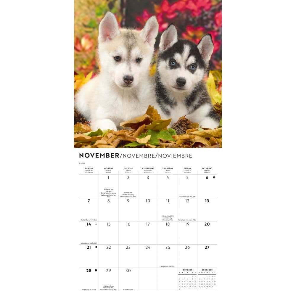 Siberian Husky Puppies 2027 Mini Wall Calendar Fourth Alternate Image