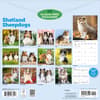 image Shetland Sheepdogs 2027 Wall Calendar First Alternate Image