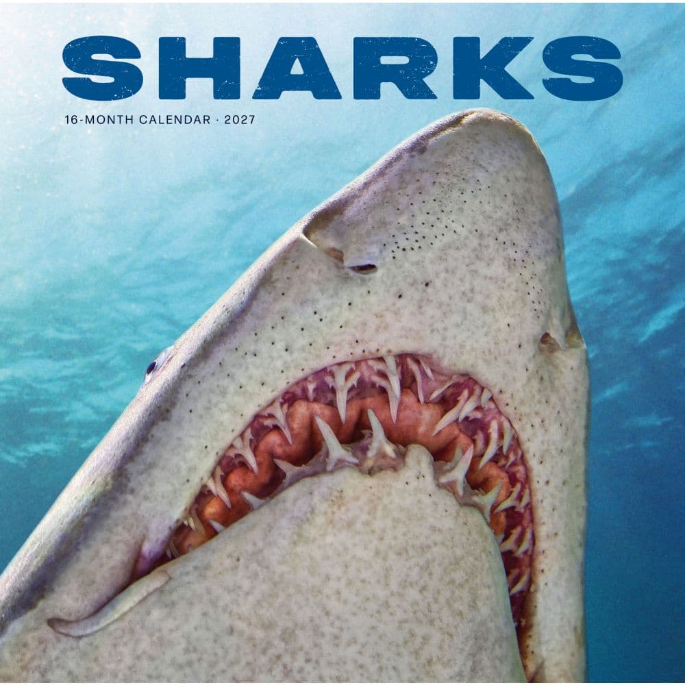 image Sharks 2027 Wall Calendar Main Product Image